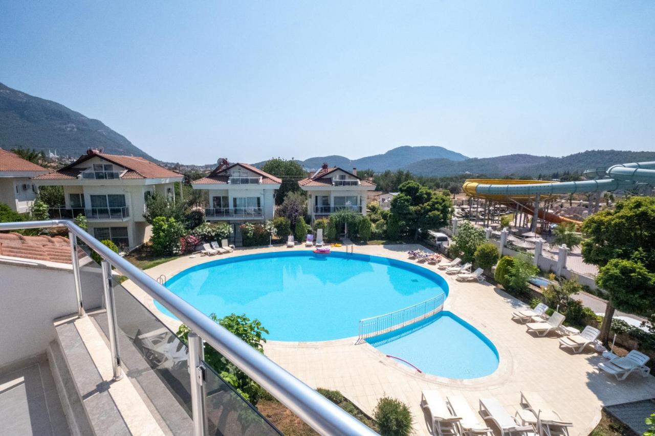 Anemon * Fethiye